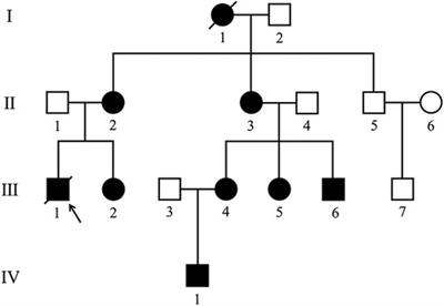 Cardiovascular magnetic resonance findings in Danon disease: a case series of a family